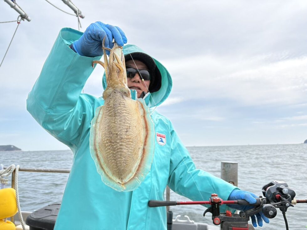 コウイカ釣り、ウタセ五目釣り、出船中