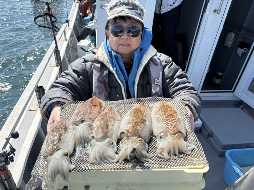 肉厚コウイカ絶好調ー！