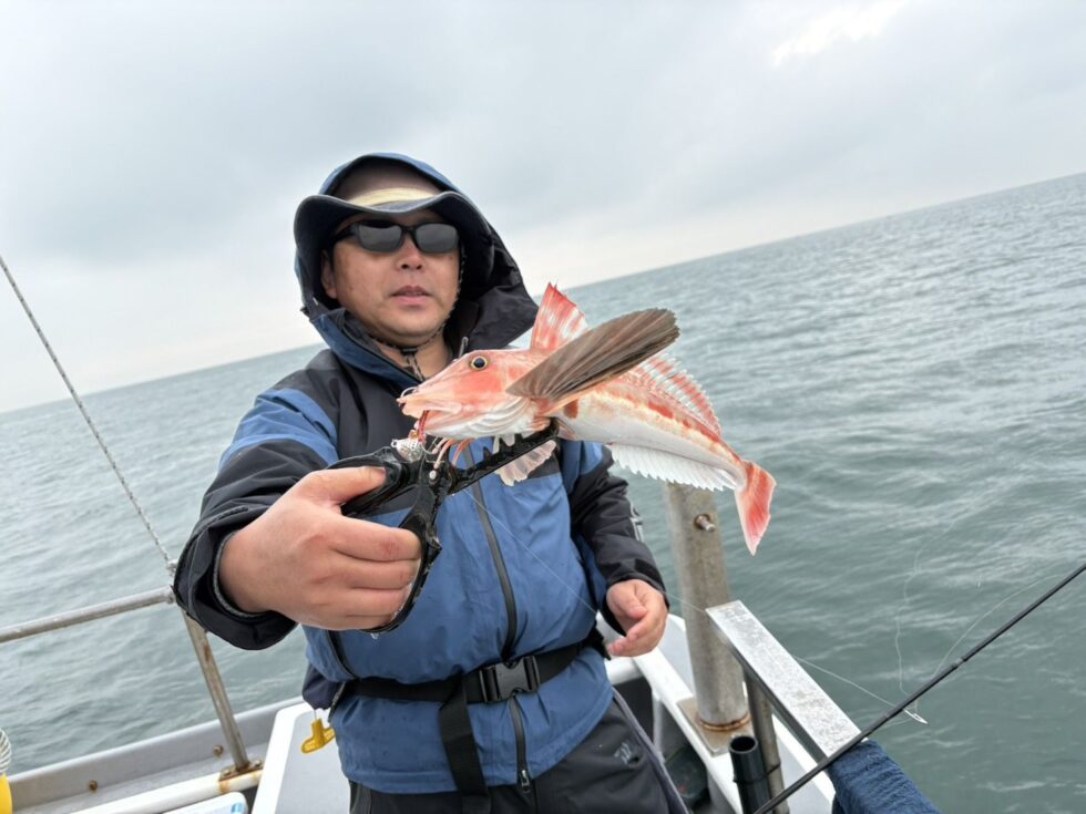 連投ありがとうございます！