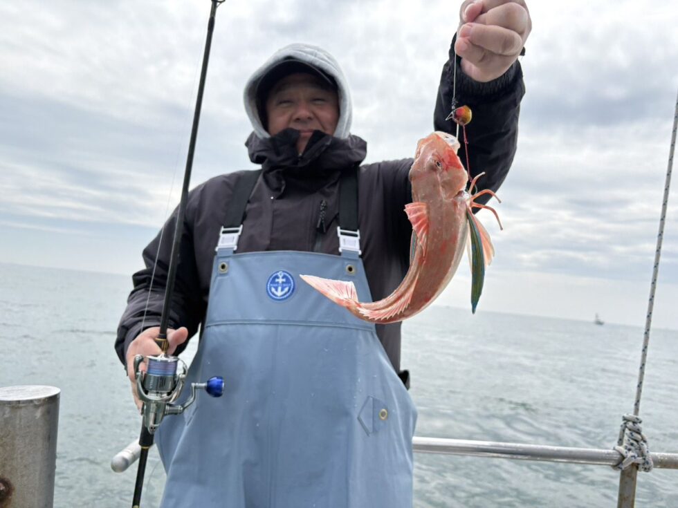 連投ありがとうございます！