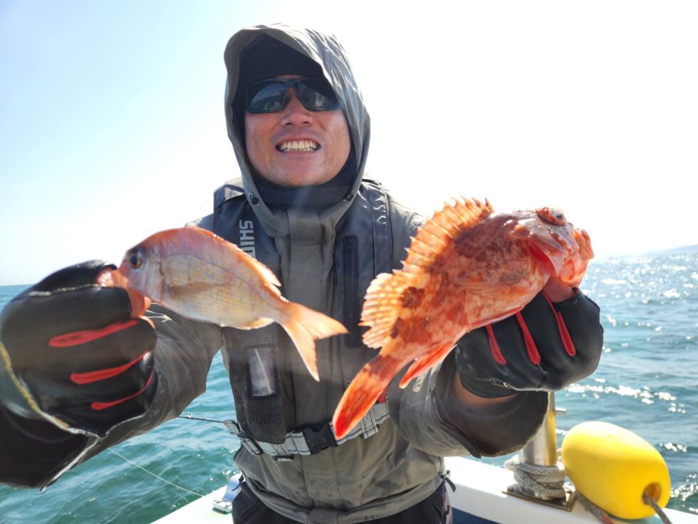 明日(月)泳がせ釣り、コウイカ釣り、出船確定です!どちらも朝の飛び入りOKですよ。