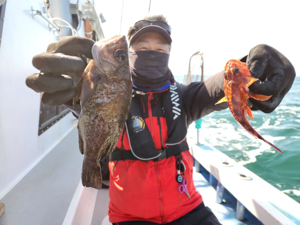 ウタセ五目出船!メバル、カサゴ!