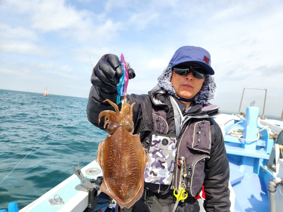 価値あるコウイカ！