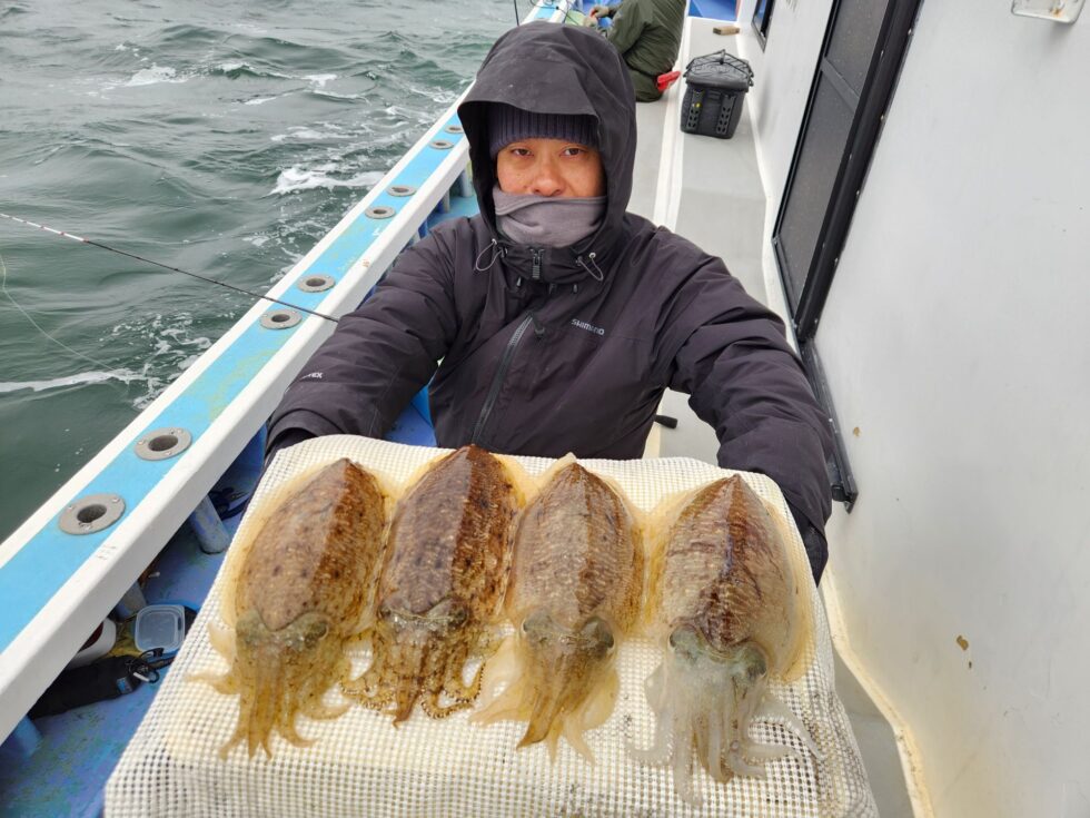 デカイですよ！