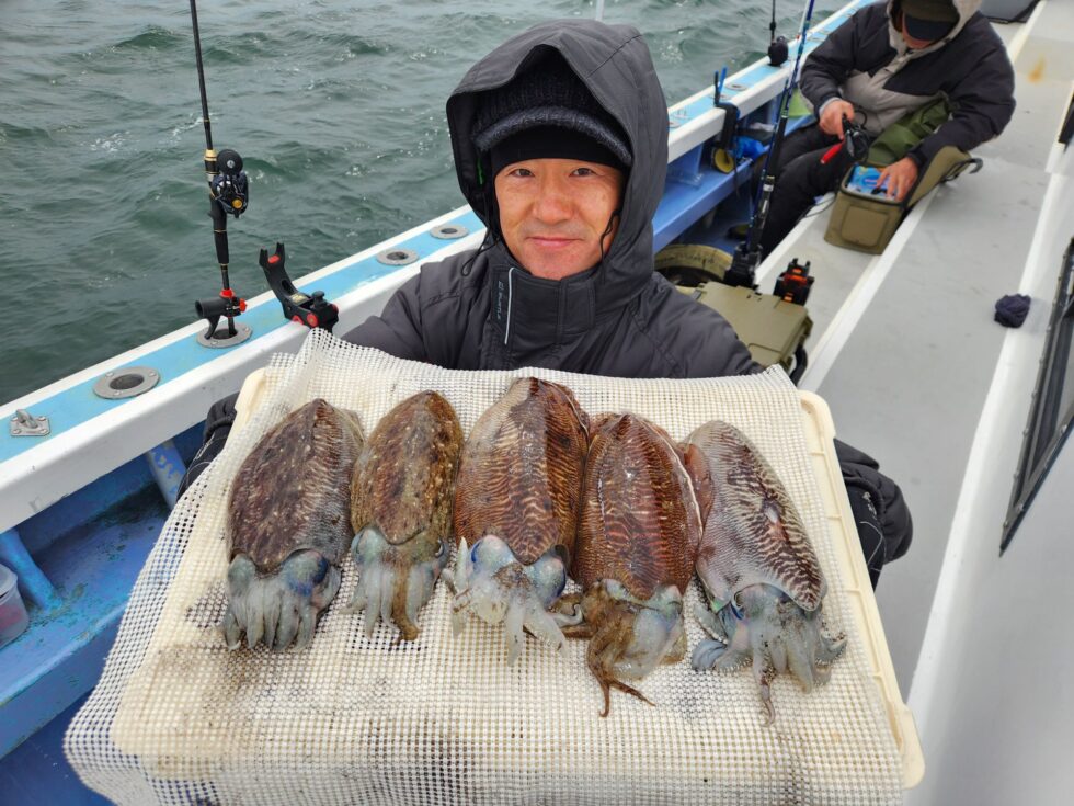 肉厚コウイカ絶好調ー！