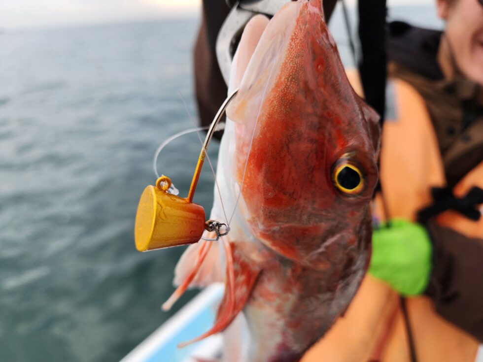 一つテンヤ真鯛船、大山沖イサキ船、ウタセ五目船、予約受付中！