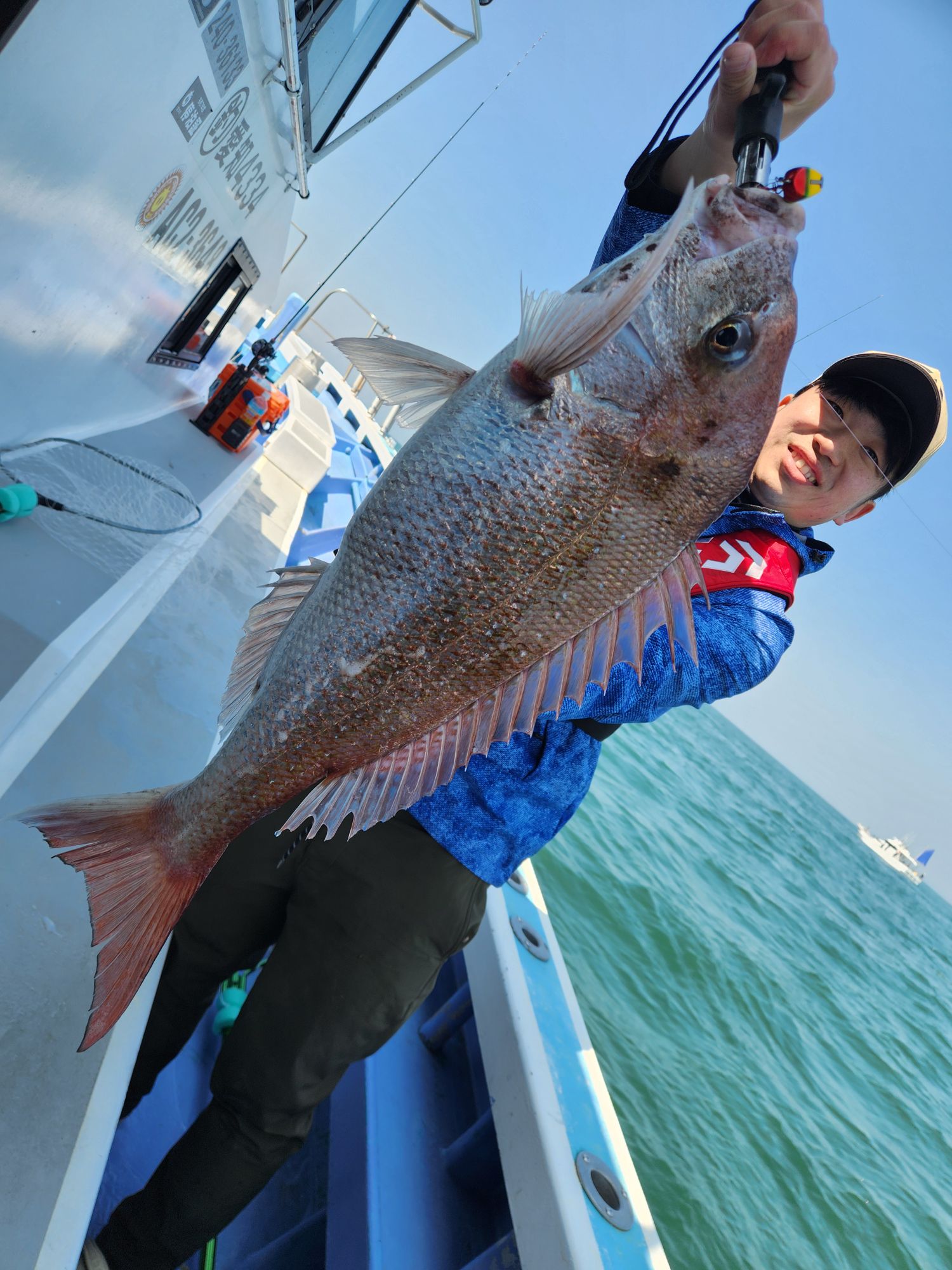 乗っ込み真鯛71㎝ゲットー！おめでとうございました！