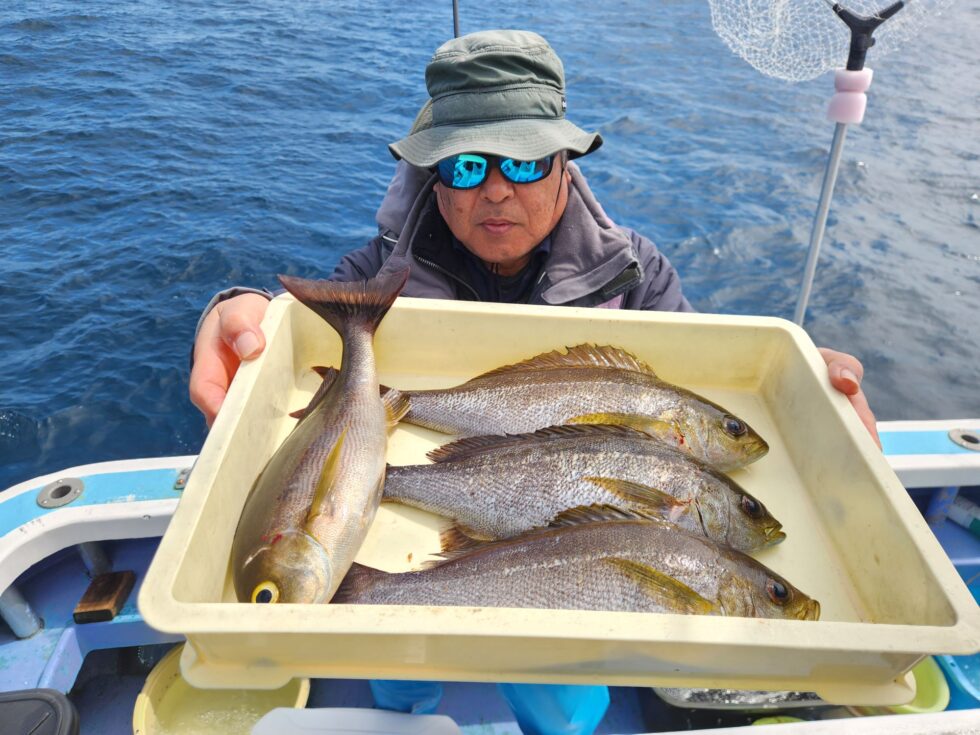 明日(土)イサキ船、ウタセ五目船、出船確定です！宜しくお願いします