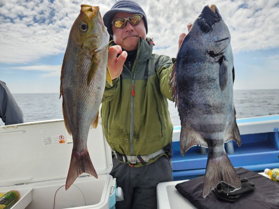 イシダイ続々！