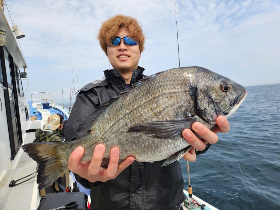 今日も黒鯛登場!