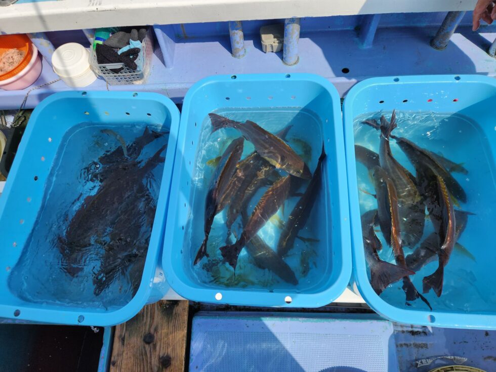 活かしてお持ち帰り!