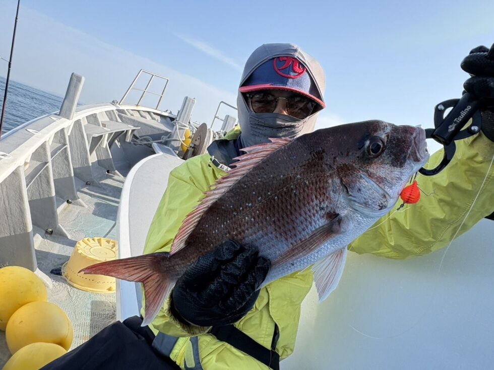 良いサイズー！