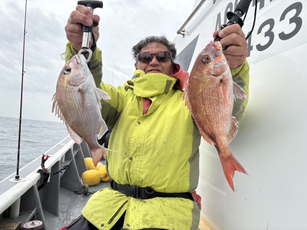 真鯛チャンス！