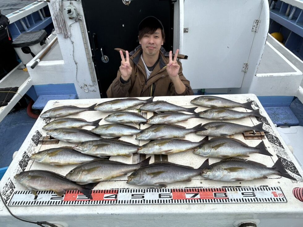 大山沖イサキ好調ー！