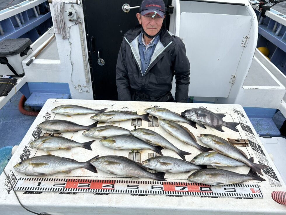 大山沖イサキが面白い！