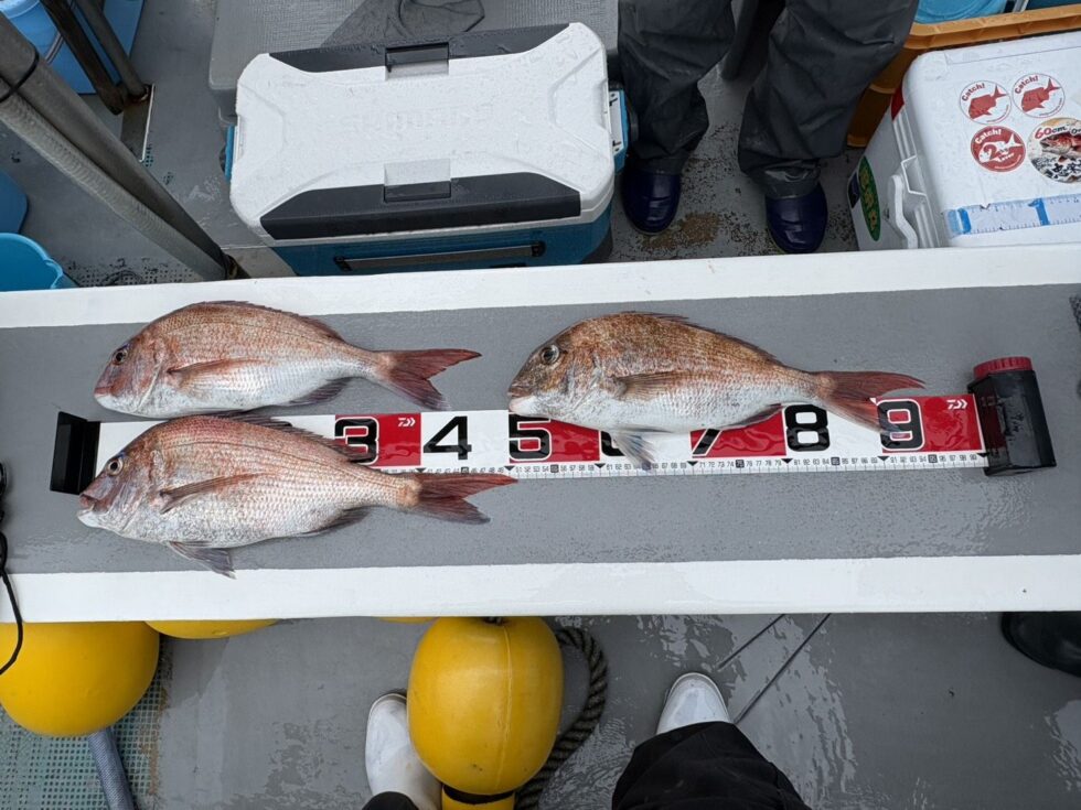 伊勢湾一つテンヤ真鯛釣り予約受付中です！