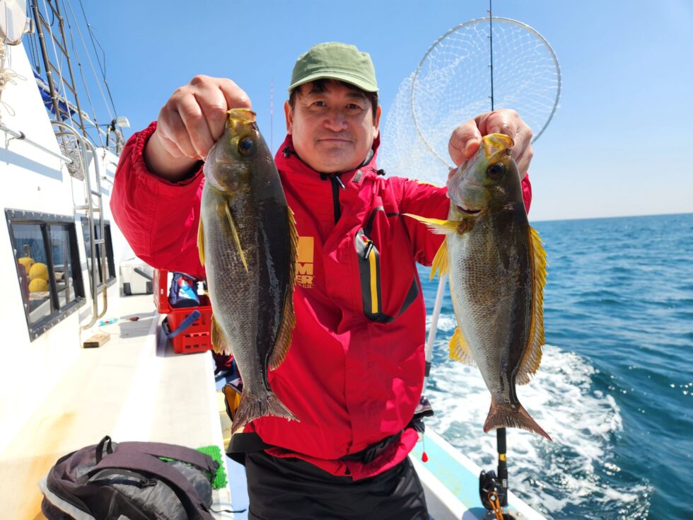 脂のりのり絶品イサキ!