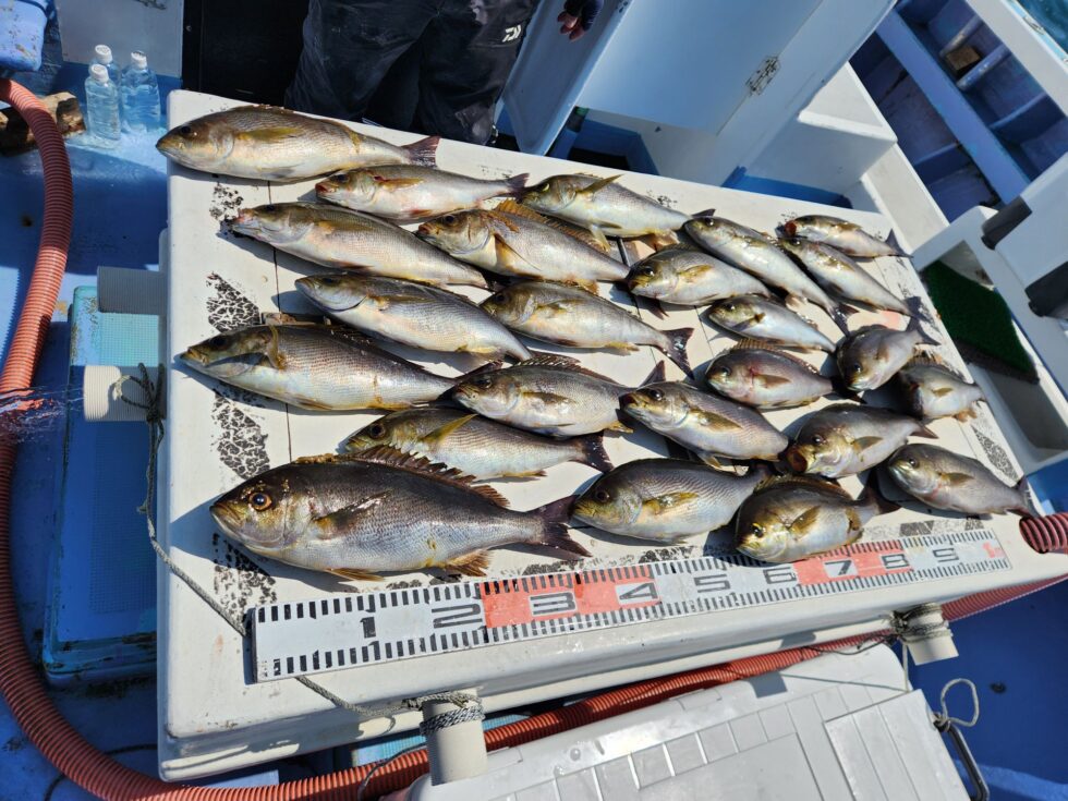 極少人数での出船でした。