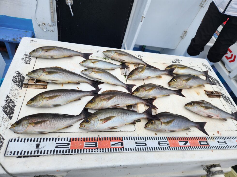 明日からも期待です！