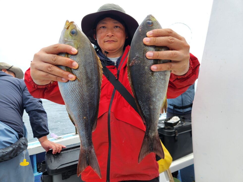 明日(日)イサキ釣り、一つテンヤ真鯛釣り、出船確定です！