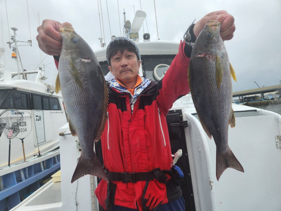 脂のりのり絶品イサキ