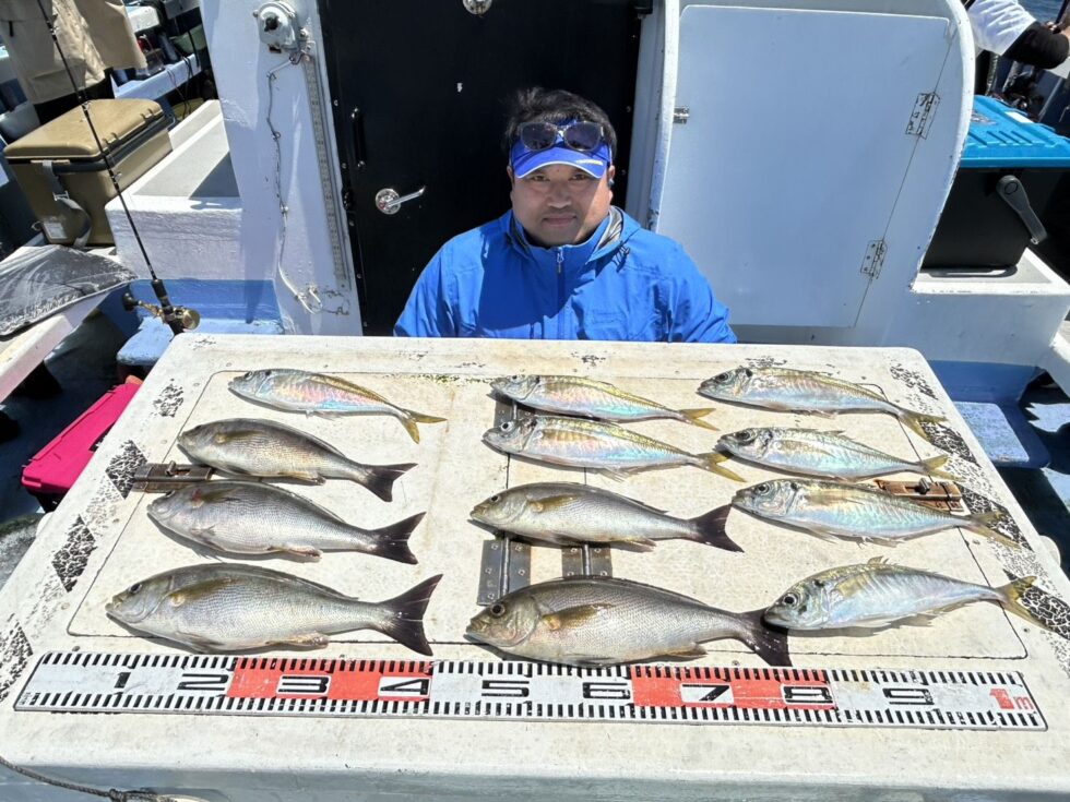 大山沖、連日ジャンボイサキ、大アジ絶好調ー！