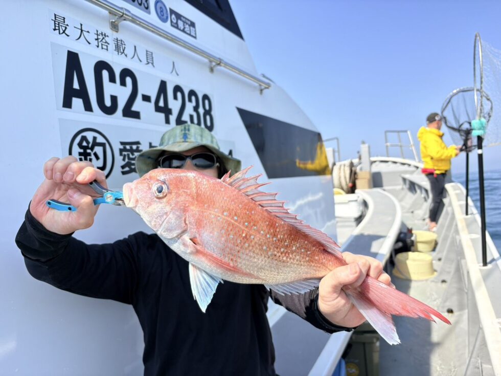 伊勢湾一つテンヤ真鯛大チャンス到来中！