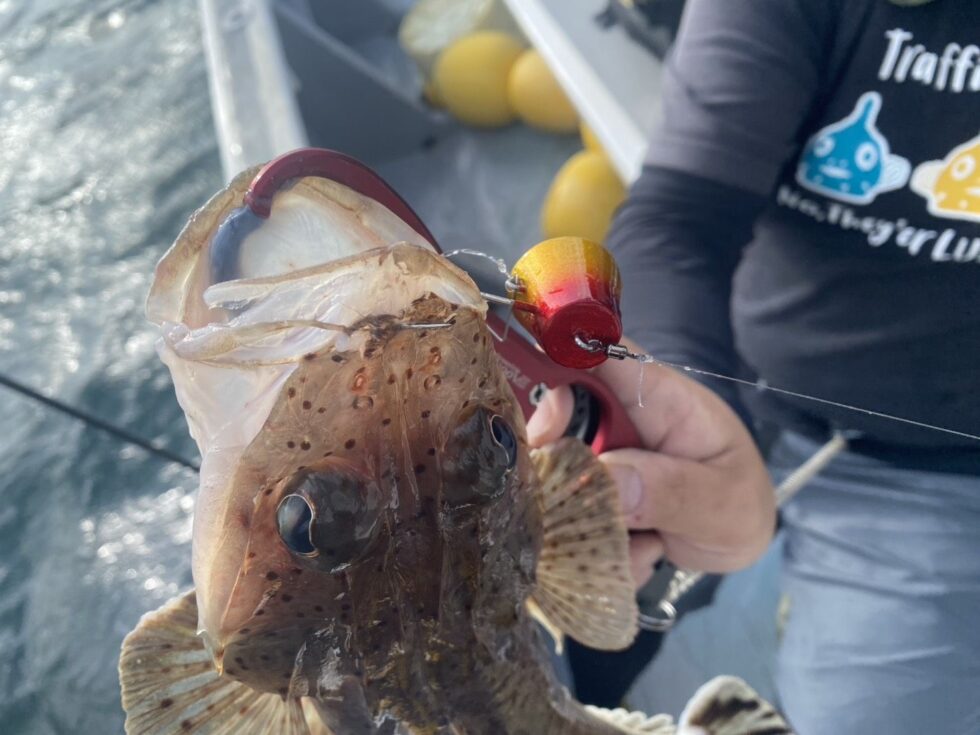 一つテンヤ真鯛釣り大チャンス！