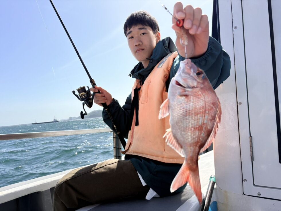一つテンヤ真鯛出船!レンタルタックルで!コツを掴めばご覧のように真鯛ゲット!