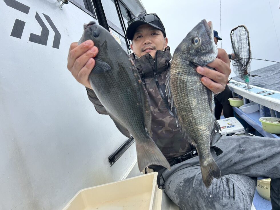 グレ、黒鯛！