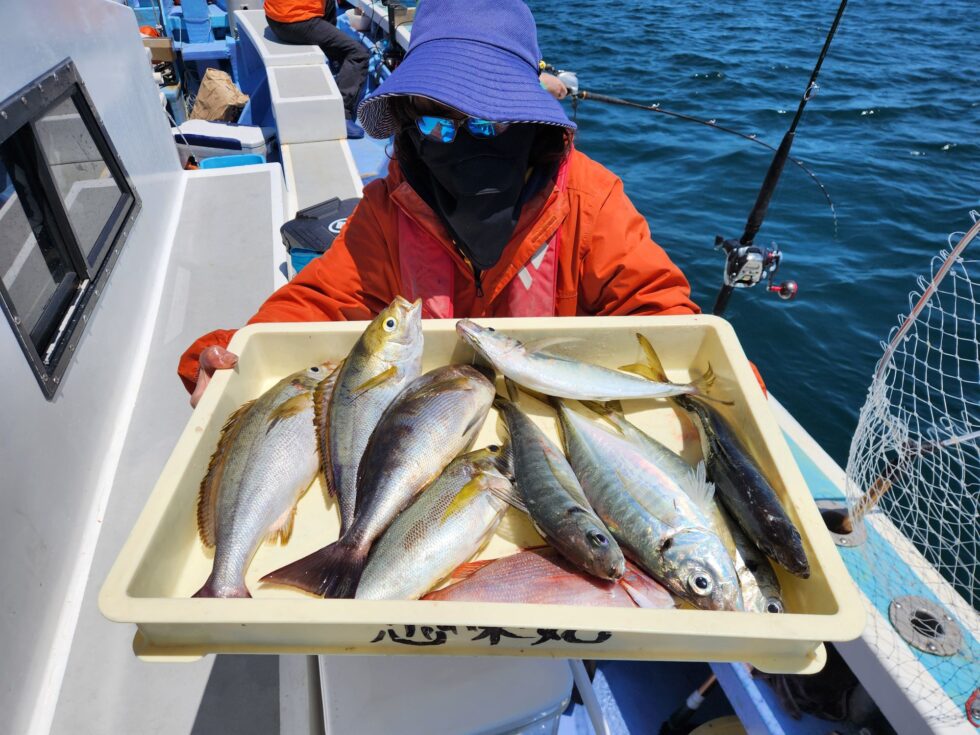 イサキ、大アジ釣りまくり!