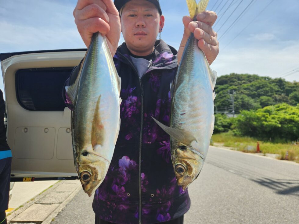伊良湖沖大型マアジ!明日(月)は穏やか、大山沖直行です!