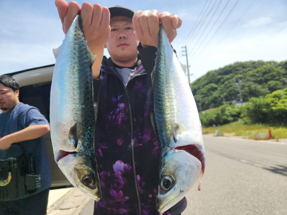 真サバも嬉しい!