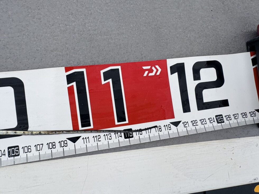 ドラゴンまであと2㎝!明日に期待!