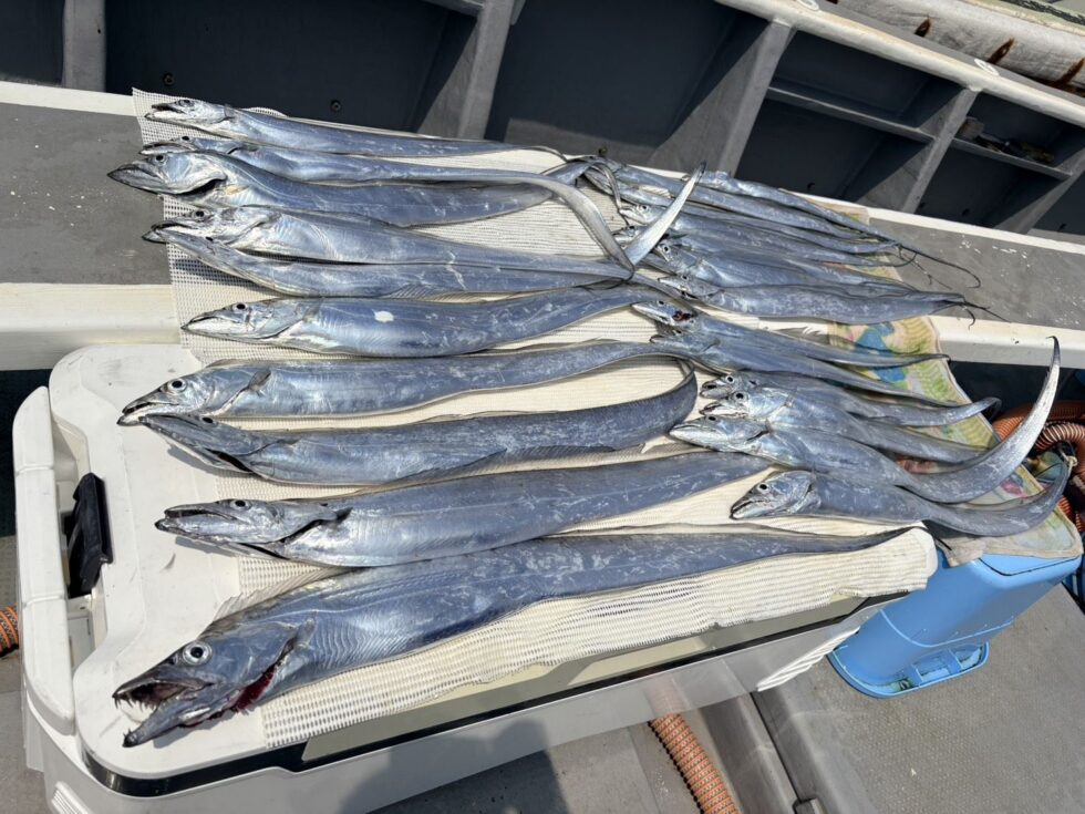 圧巻の釣果！