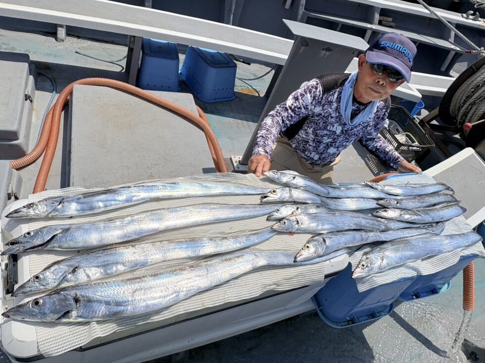 今日も流石の誘いっ！
