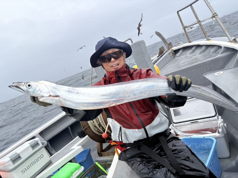 伊良湖水道大型タチウオ乱舞！