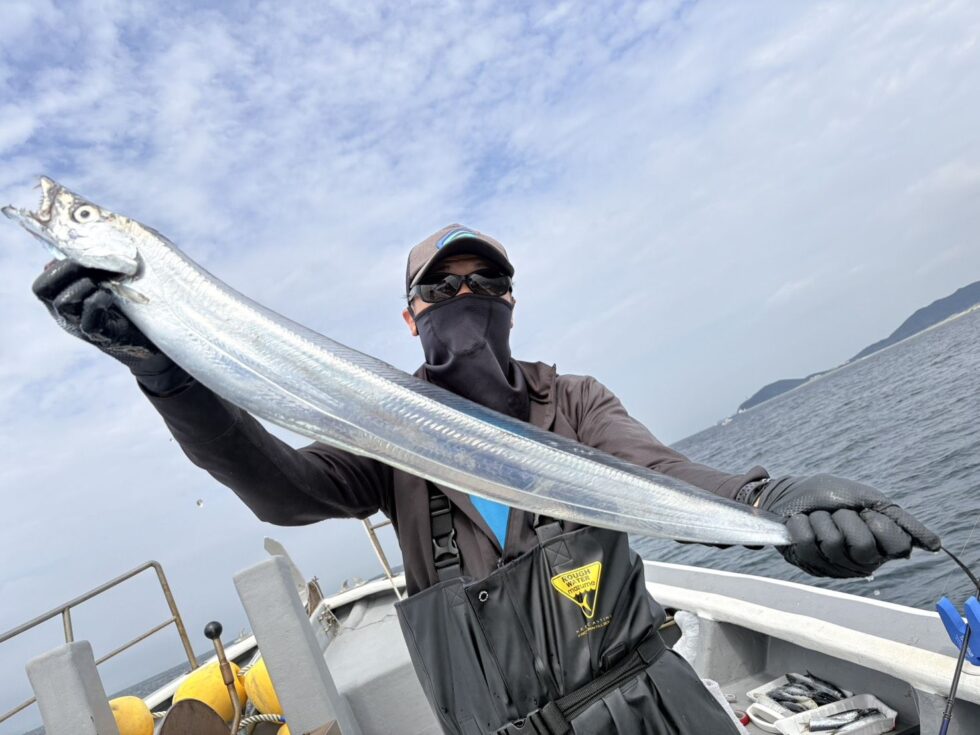 良型タチウオ絶好調ー！
