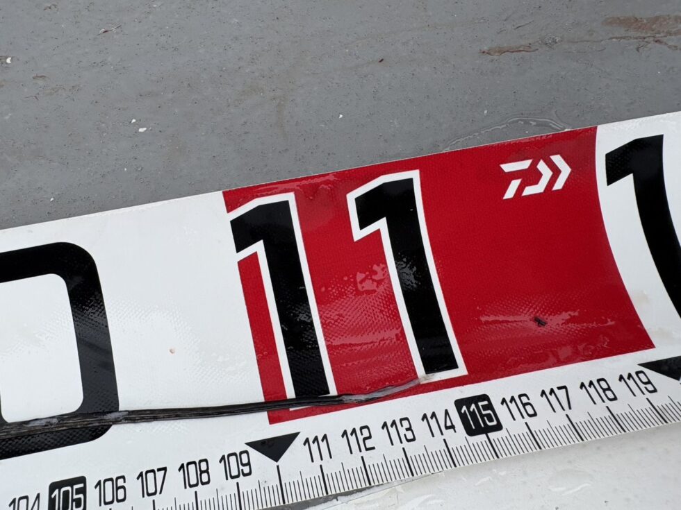 明日(水)テンヤタチウオ船、一つテンヤ真鯛船、出船確定です!