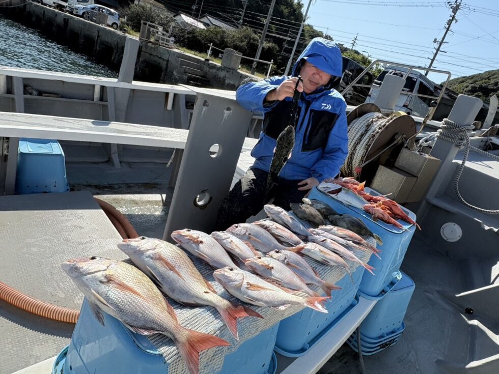 一つテンヤ真鯛船!今日も爆釣ー!連日のご乗船ありがとうございます!