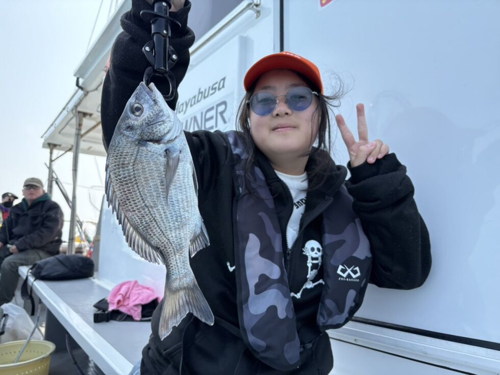 活きウタセエビ入荷中！