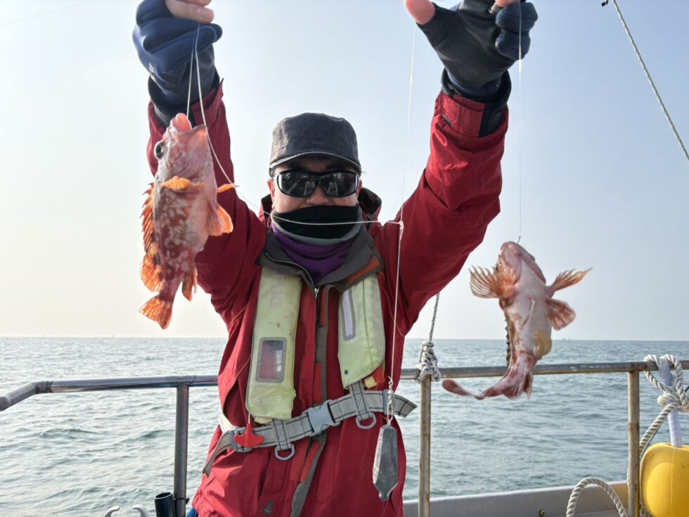 良いサイズですよ！