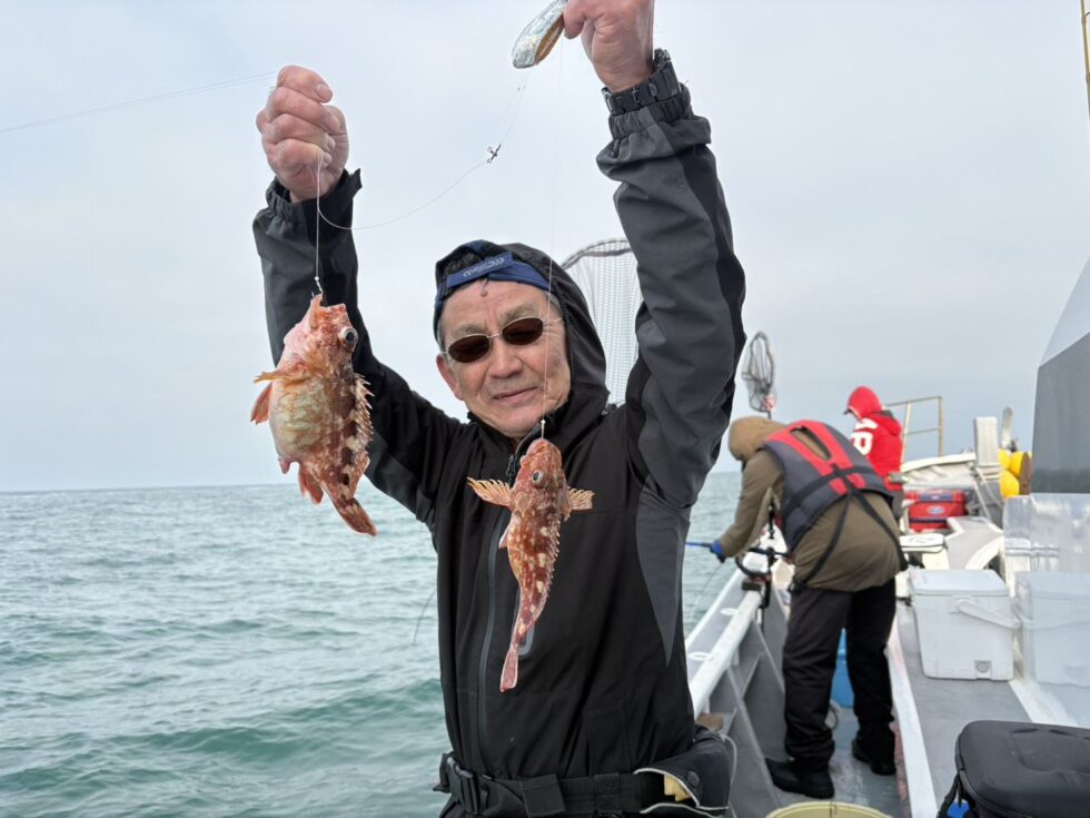 他に大メバル水面バラシ、焼き鯛登場でした、活きウタセエビ使用です