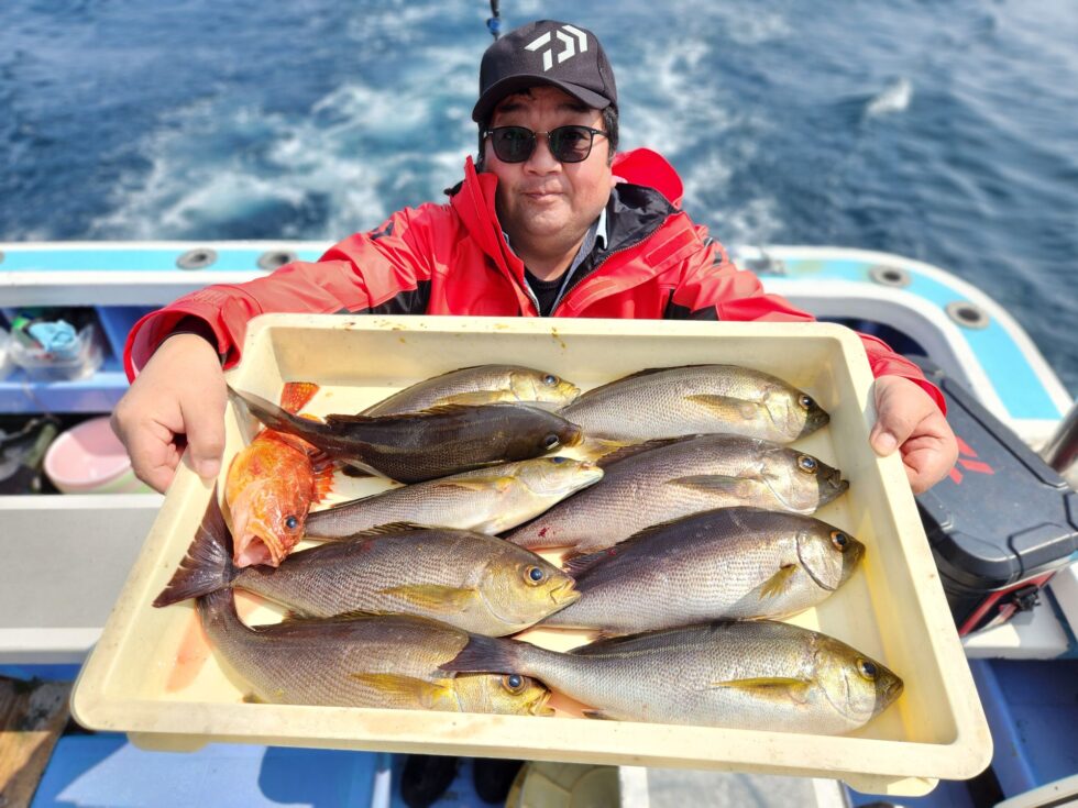 大山沖イサキ釣りチャンス！バラシまくり、数もイケそうでしたよ！明日からも楽しみです！