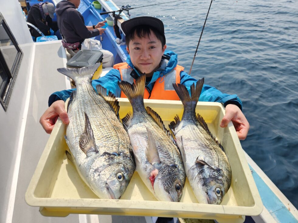 大型黒鯛釣りまくりー！