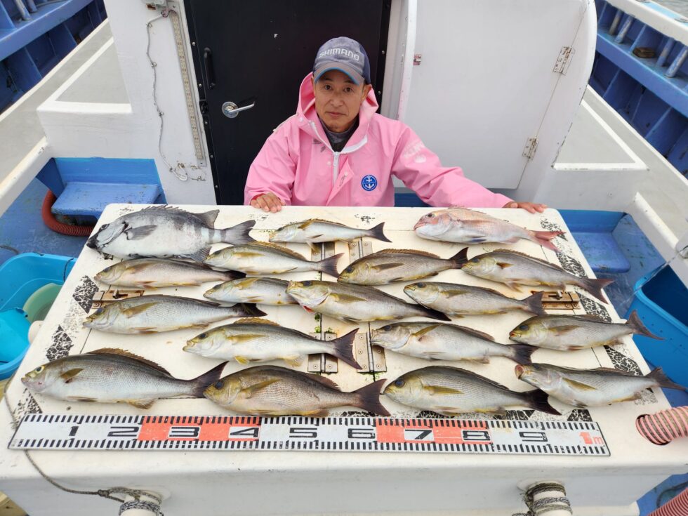 大型イサキが凄い！