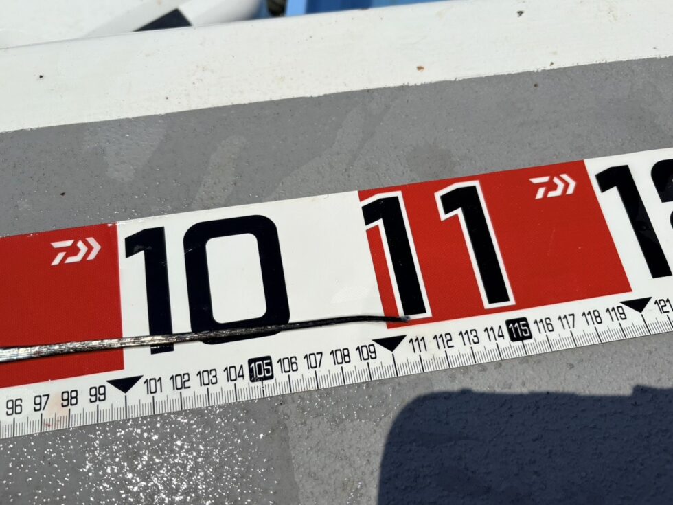 アベレージが良いっ!予約お待ちしてます!