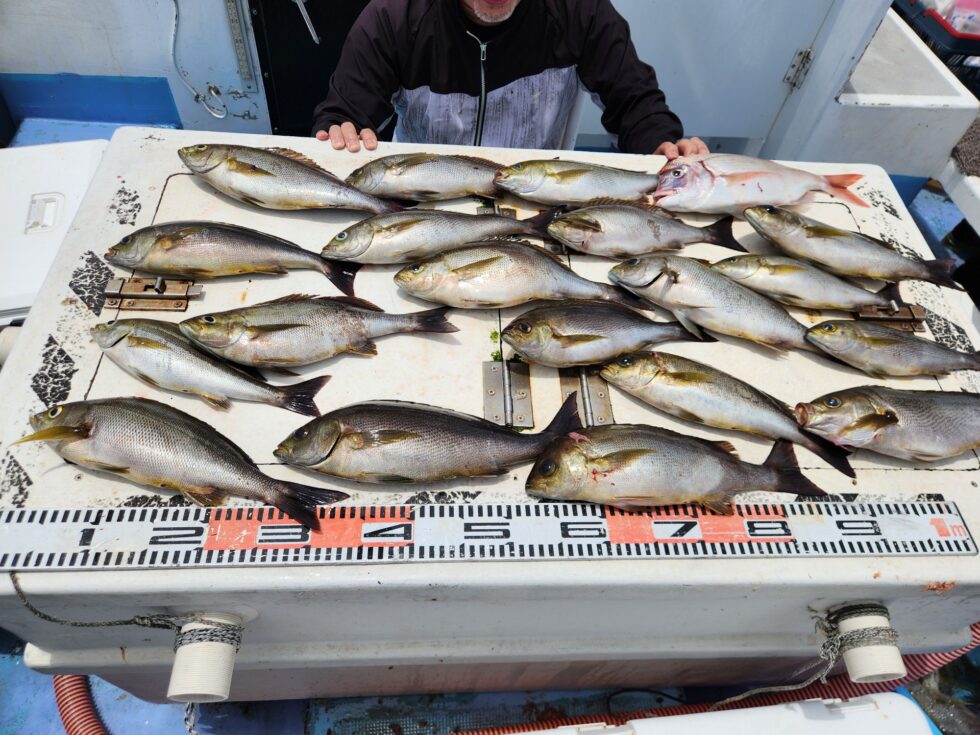 早めの釣行がお勧めです!